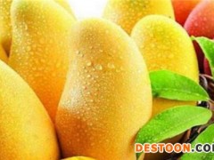 芒果含有哪些维生素？微量元素高帮助提高抵抗力